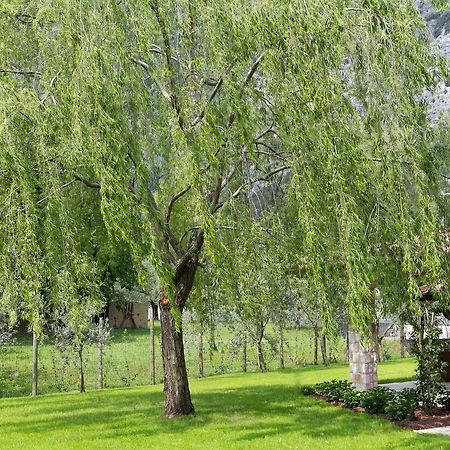B&B Ai Colli Дро Экстерьер фото
